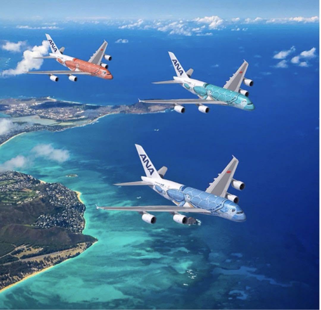 Amazon.co.jp: ハワイ マハロラウンジ限定フライングホヌ ANA